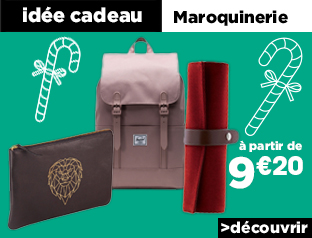 Maroquinerie - Magasin Rougier&Plé